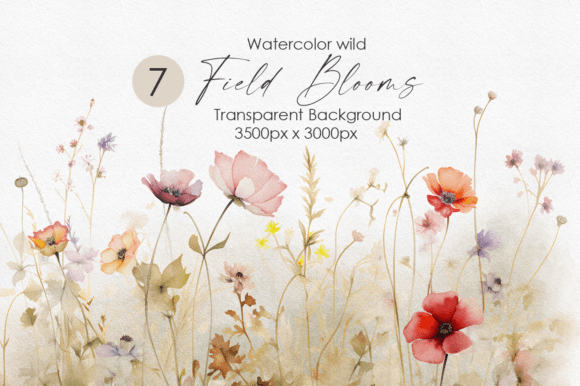 Download Watercolor Wild Flowers Collection - Collection Collection