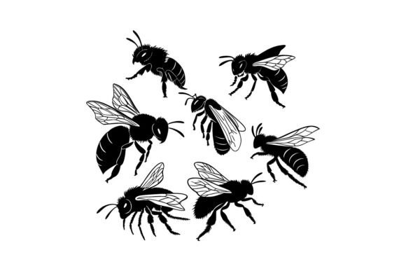 Download Collection of Ashy Mining Bee Black Silh - Collection Collection